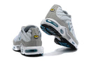 Air Max Plus TN 1 "Ice Metallic"